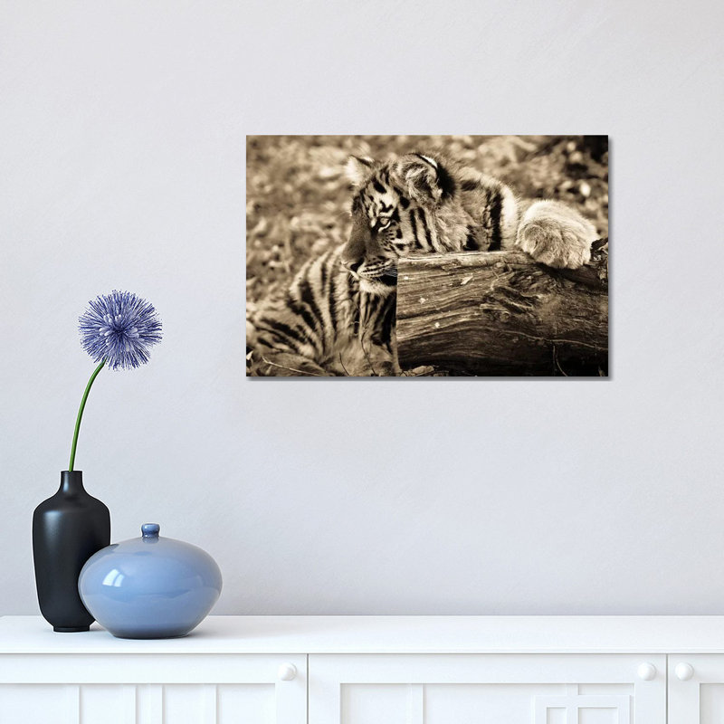 Tiger Baby by Goran Anastasovski - Wrapped Canvas Print, 30.48 cm H x 45.72 cm W
