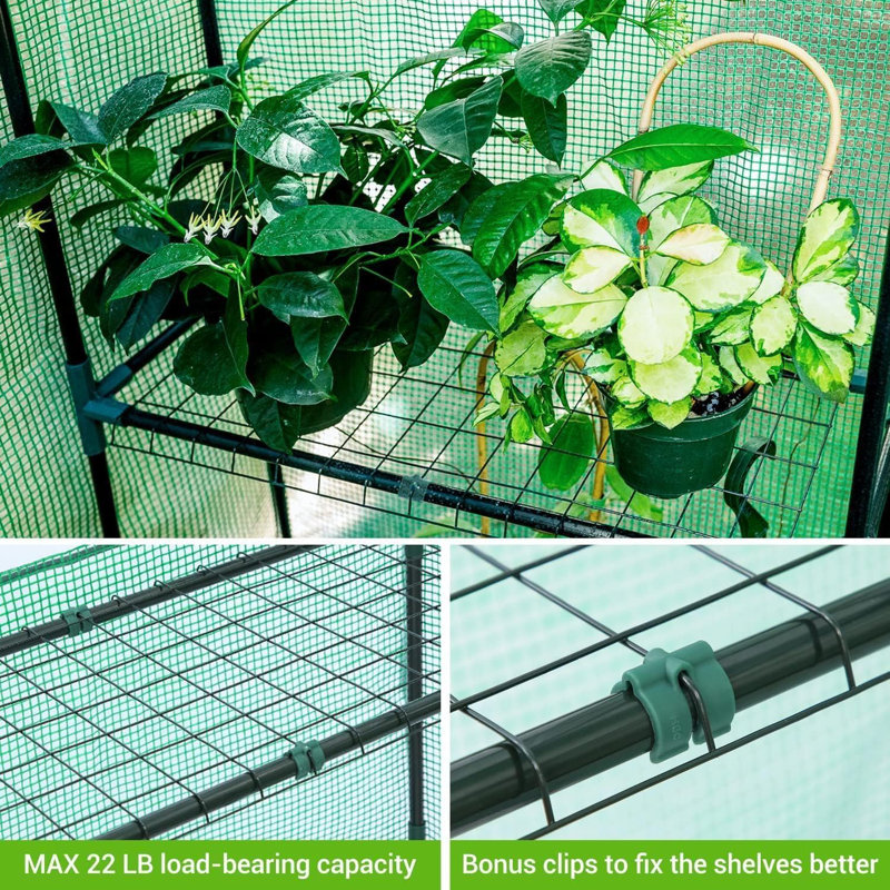 Large Walk-In Greenhouse With 2 Windows & 8 Shelves - Cold Frame Greenhouse With Reinforced Cover & Steel Frame - W143 X D143 X H195cm For Outdoor Gardening - Plant Shelves & Stable Grow House