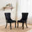 Modern Dining Chairs