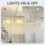 8 - Light Chandelier-1903535879