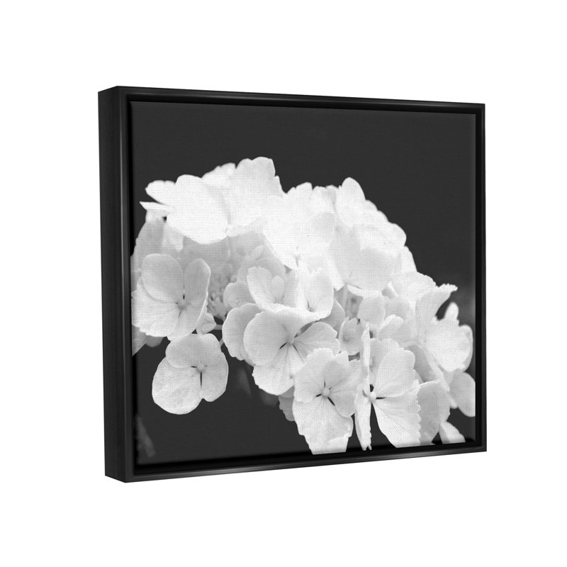 «Delicate White Hydrangea Petals» par Lil 'Rue, H 17 po x l 21 po x P 1,7 po, Cadre flottant noir de jais