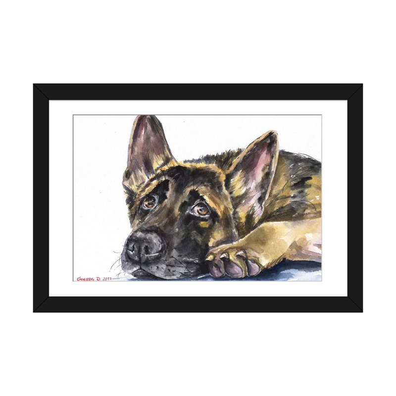 « german berger », impression sur toile, H 24 po x l 32 po x P 1 po, Cadre noir