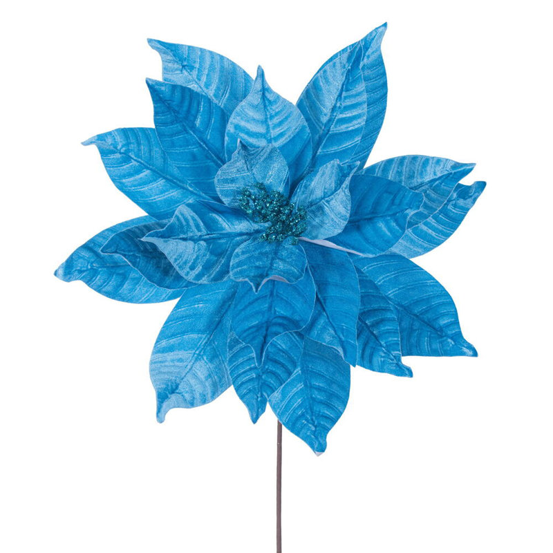 Tiges de poinsettia Clementina, Turquoise