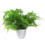 30cm Faux Plant in Pot Liner