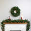 Pre-Lit Mixed Noble Spruce Garland - 9' X 14" - Clear Lights