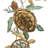 44 Inch Metal Swimming Sea Turtles Outdoor Wall Decor with Multi-Colored Finish for Indoor and Outdoor Use