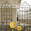 Ensemble de 4 treillis de jardin en métal antirouille de 19,7 po pour plantes grimpantes-115361845-115361844