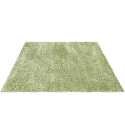 Caylob Shag Indoor / Outdoor Area Rug