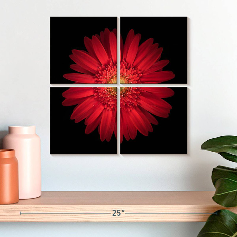Marguerite rouge vif Harnek, H 18 po x l 18 po