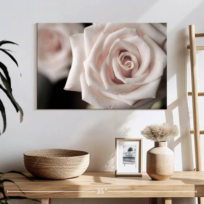 Harnek près d'une rose éblouissante