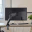 ONKRON Single Screen Desktop Mount