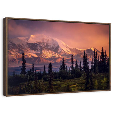Denali Mountains And Forest
