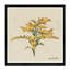 Goldenrod Print-1550932661