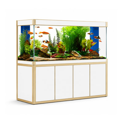 Rectangle Aquarium Tank