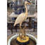 Porcelain Shore Bird with Bronze Ormolu Base