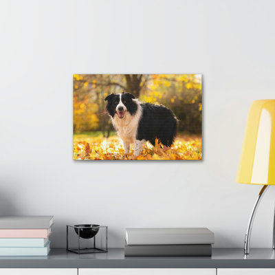 Art mural majestueux Border Collie