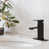 Oil Rubbed Bronze