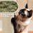 Dagenham Cat Tree Tower Condo Cat Furniture with Scratching Post for Kittens-109790701-109790698