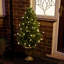 String Lights-436528064