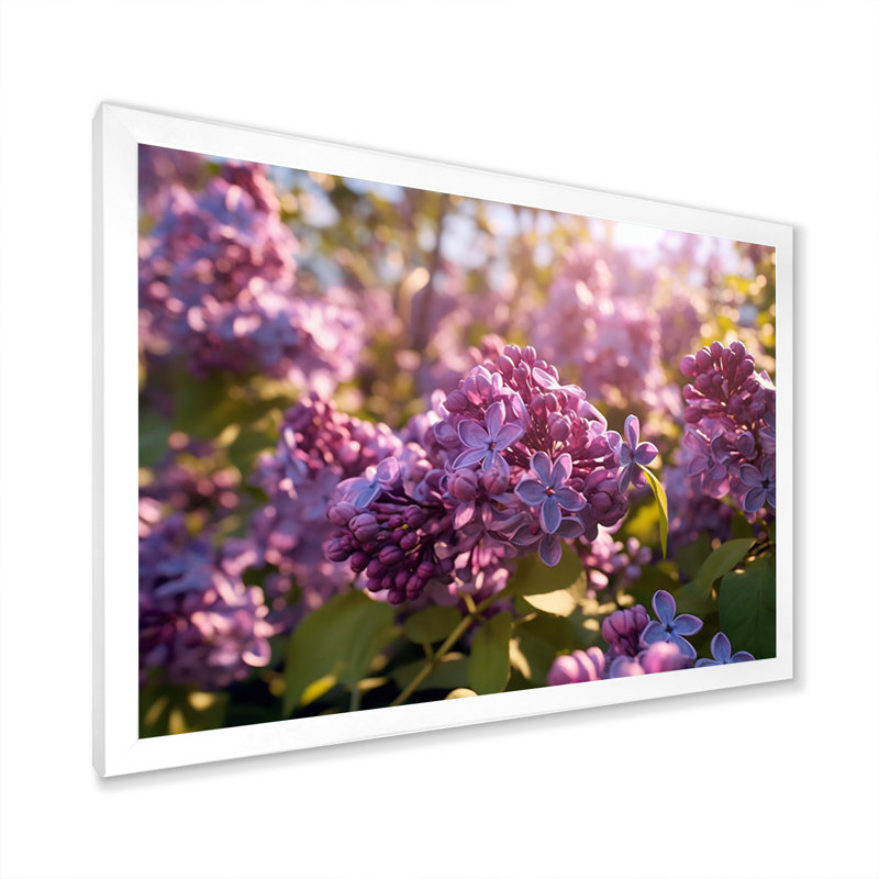 «Lilac mauve», impression sur toile, Cadre photo blanc, H 16 po x l 32 po x P 1 po