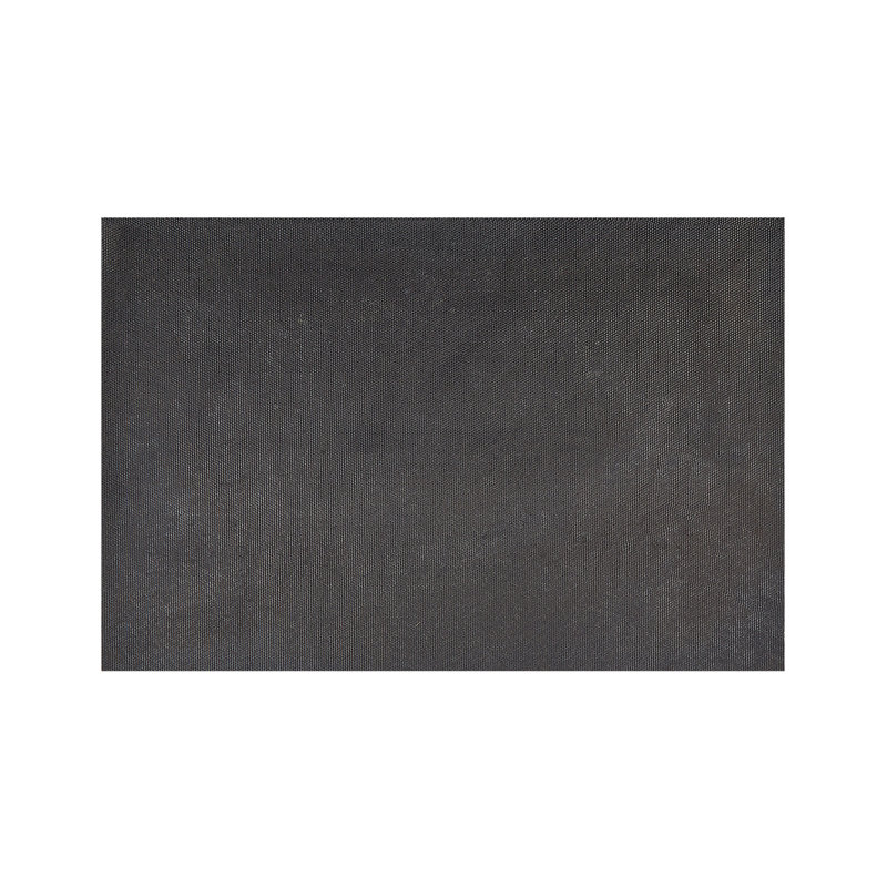 Regelindis Non-Slip Indoor Doormat
