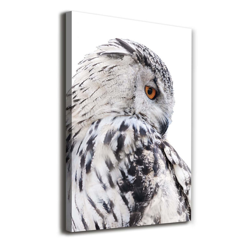 White Owl - Wrapped Canvas Print