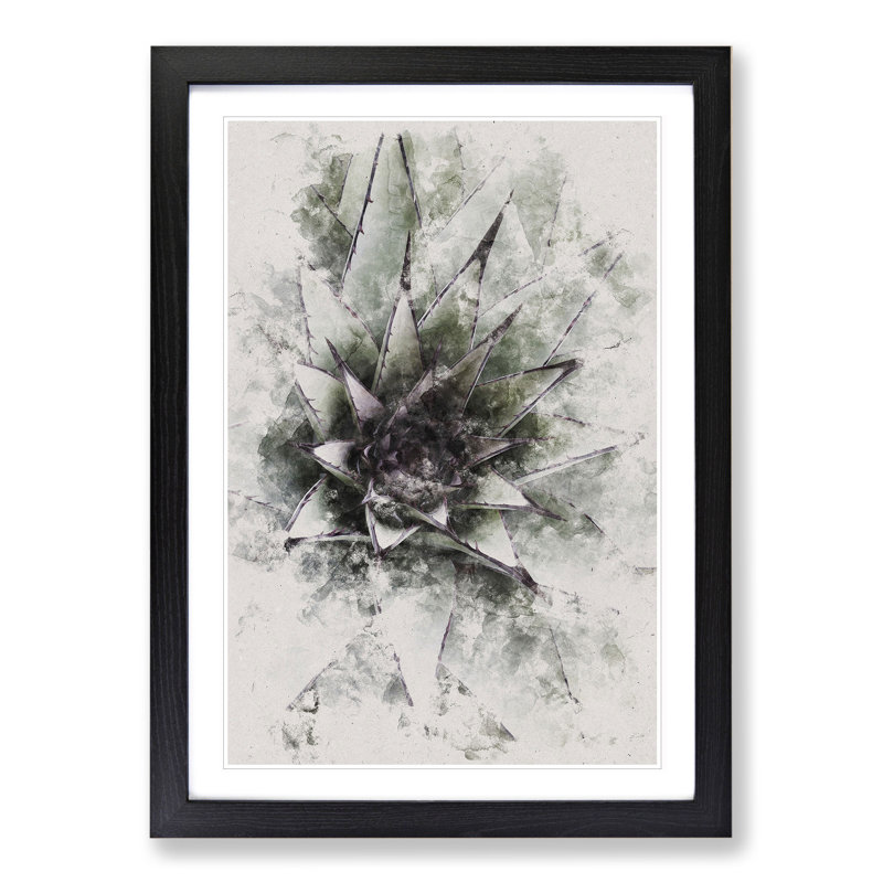 The Succulent Plant - Picture Frame Graphic Art, Black Framed, 48cm H x 36cm W x 2cm D