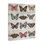 Art mural sur toile Butterfly Love Vintage par Jennifer Lambein