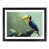 Black Framed selected