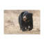 Art mural majestueux paresseux ours-112882361