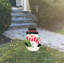 Bonhomme de neige 31 po