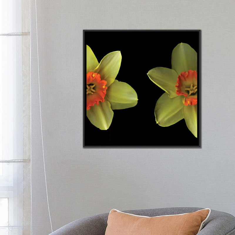 « the face off », reproduction de photo sur toile tendue, H 12 po x l 12 po x P 0,75 po, Toile tendue, Pas de tapis