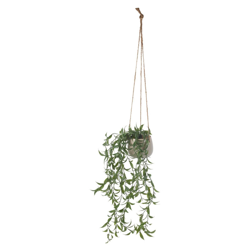 Ceramic Hanging Planter