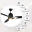 52'' Ceiling Fan with LED Lights-356302182