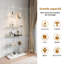 Display Cabinet-540827029