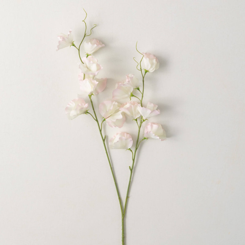 Sweet Pea Arrangement