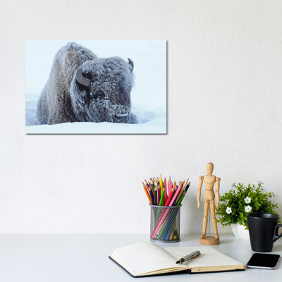 Frosty by Brian Wolf - Wrapped Canvas Print