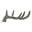 Animal Antlers
