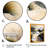 " Path To The Beach I "-86580916-86580917