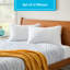 Polyester Firm Pillow-1815984951