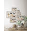 «The Butterfly Collection», reproduction encadrée-1224320443