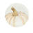 Pumpkins Assorted Salad Plates