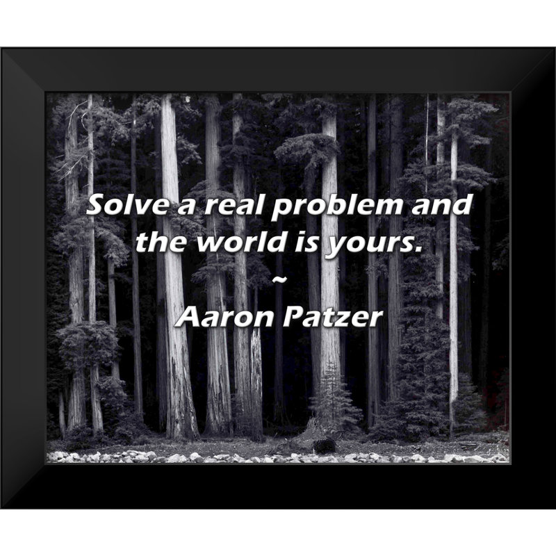 Aaron Patzer Quote: Solve a real problem and the world is yours.