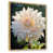 Cadre naturel flottant