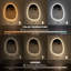 Oval Mirror