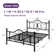 Anterrio Metal Open-Frame Bed with Butterfly Pattern Design Headboard and Footboard