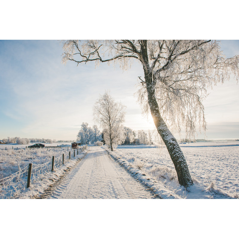 Cold Winter Day by Knape, 8" H x 12" W