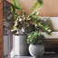 Pot de fleurs Dorlis Fiberstone-686110825-795267174