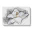 Blooming White Magnolia in Abstract - Wrapped Canvas-55315958