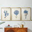 Corail antique en bleu marine I - Impression personnalisée de qualité supérieure avec cadre mat - 3 pièces-1078767097-1078767098